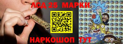 прущие грибы Кингисепп