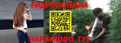 прущие грибы Кингисепп