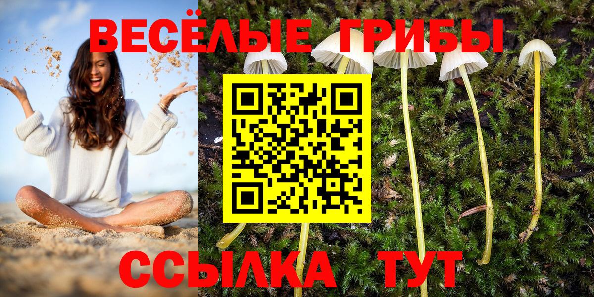 Псилоцибиновые грибы прущие грибы  Вход с VPN  Кувандык 