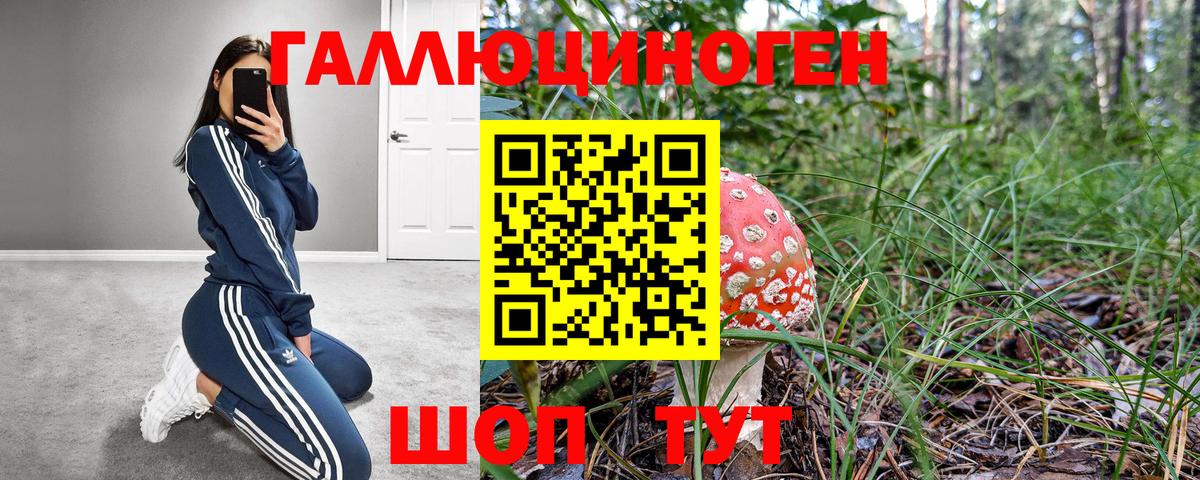 Галлюциногенные грибы мицелий Кувандык